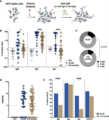 Robust and Functional Immune Memory Up to 9 Months After SARS-CoV-2 Infection: A Southeast Asian Longitudinal Cohort